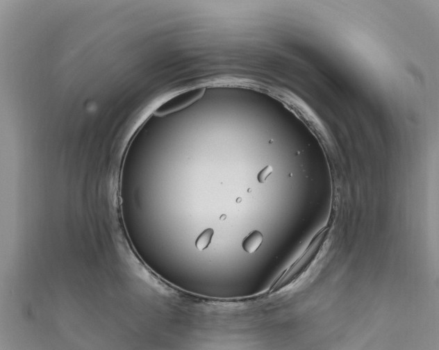 X0000111190860200907081255