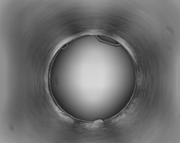 X0000111190861200907081255