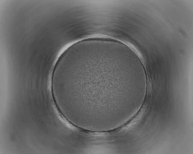 X0000111190862200907081255