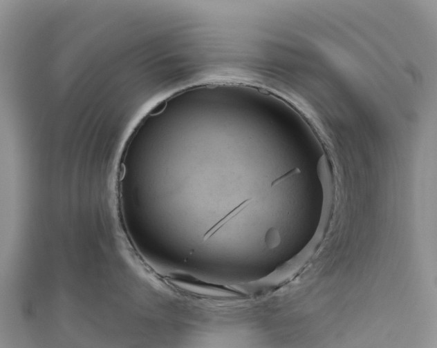 X0000111190864200907081255