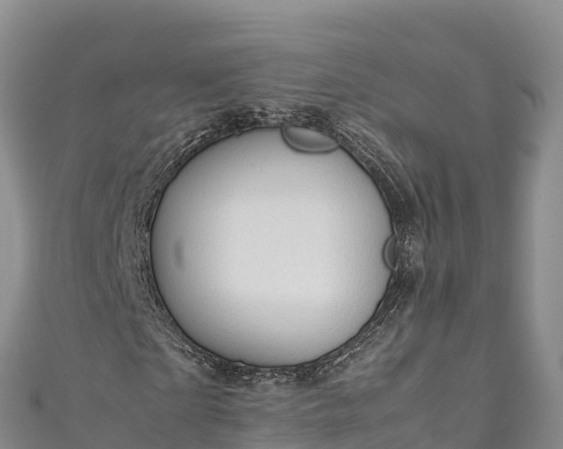 X0000111190865200907081254