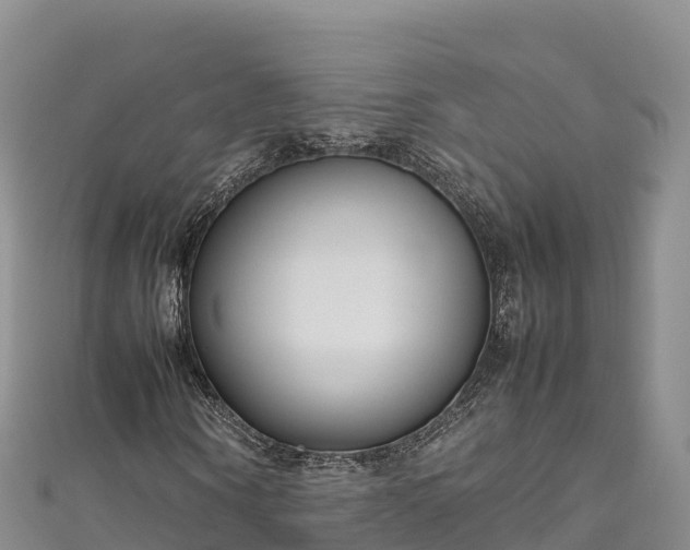 X0000111190866200907081254