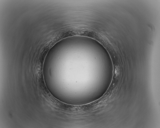 X0000111190867200907081254