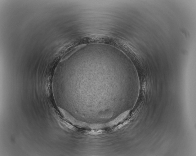 X0000111190868200907081254