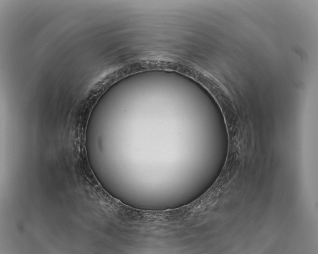 X0000111190870200907081254