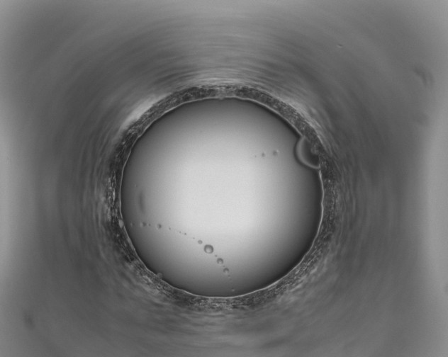 X0000111190871200907081254