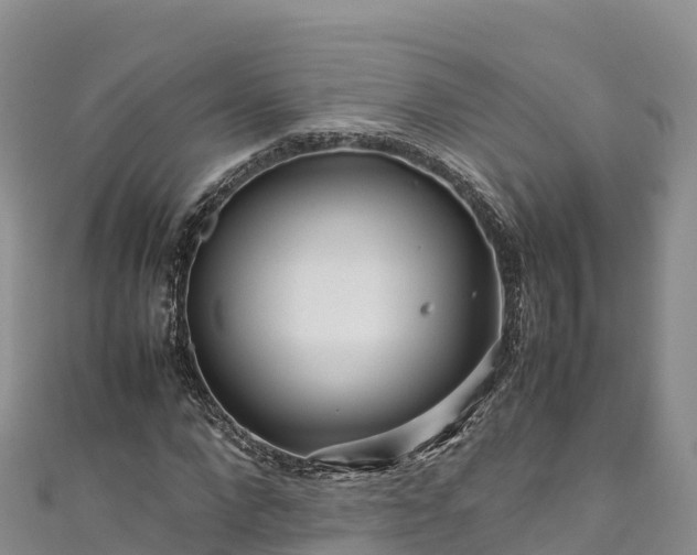 X0000111190872200907081254