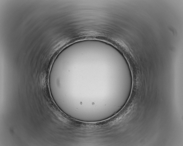 X0000111190873200907081254