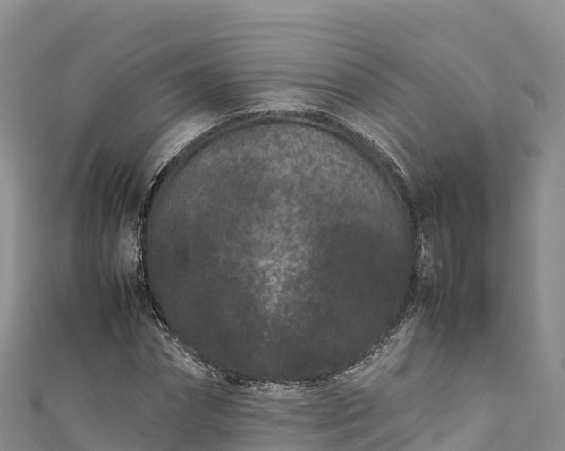 X0000111190874200907081254