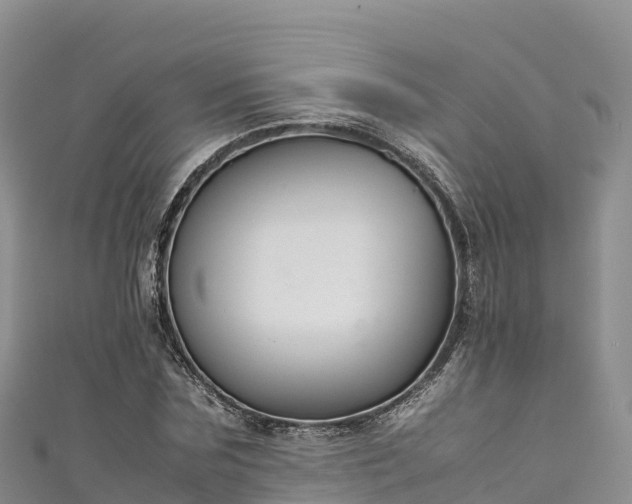 X0000111190875200907081254