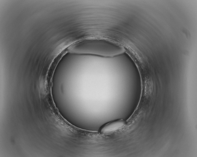 X0000111190876200907081254