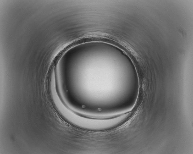 X0000111190877200907081254