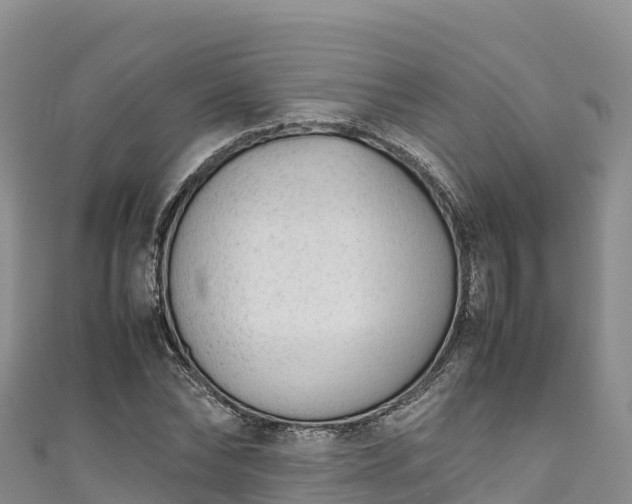 X0000111190878200907081254