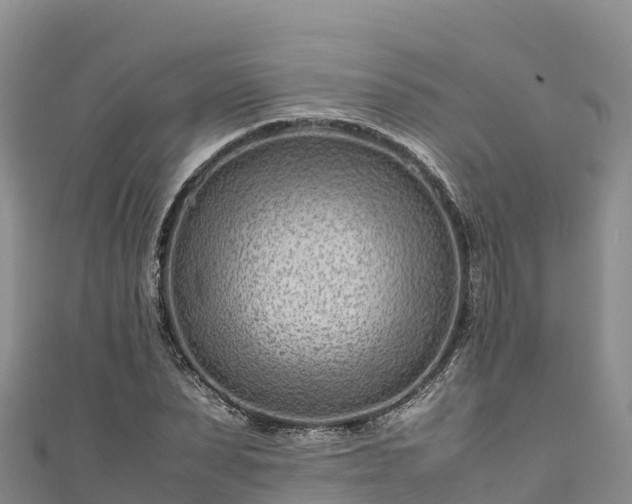 X0000111190879200907081254