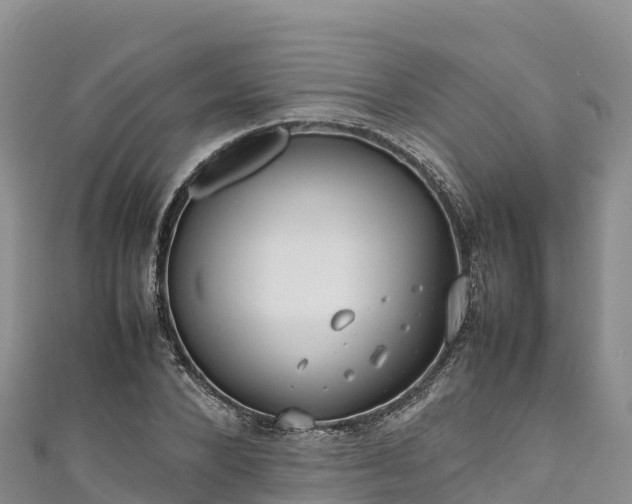 X0000111190880200907081254