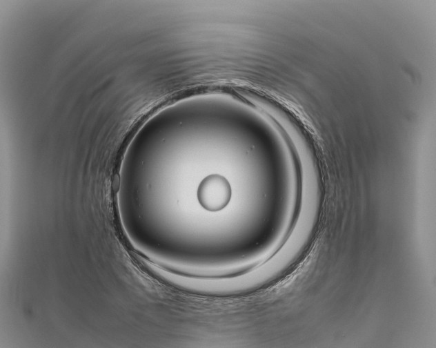 X0000111190881200907081254