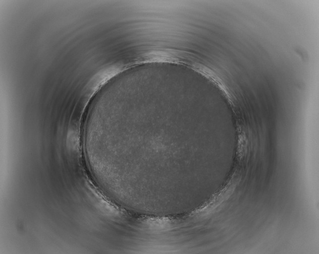 X0000111190882200907081254