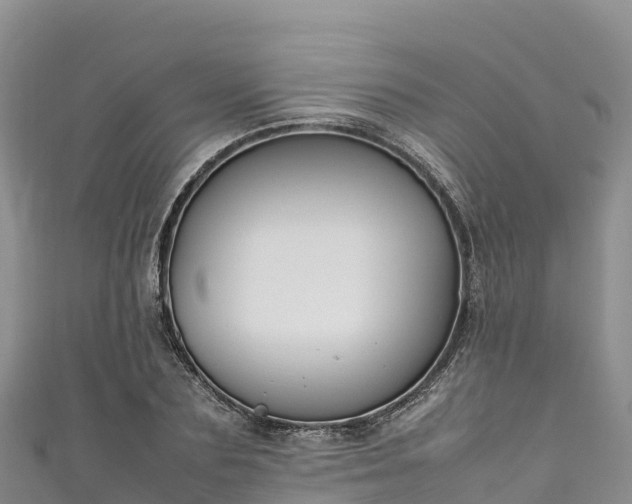 X0000111190883200907081254