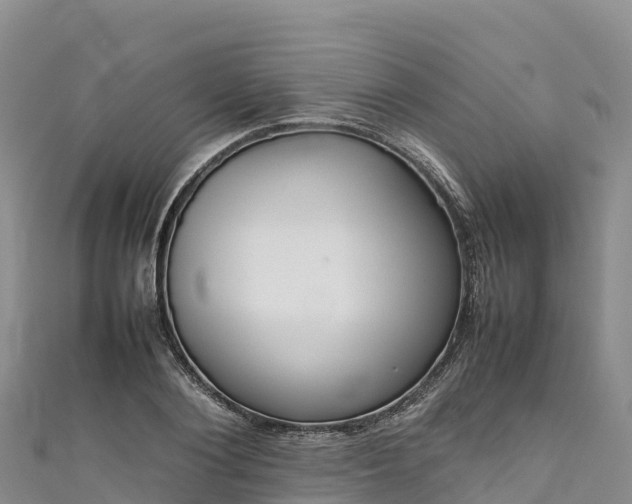 X0000111190884200907081254