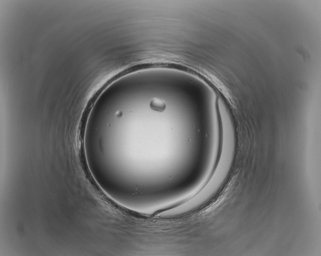 X0000111190885200907081254