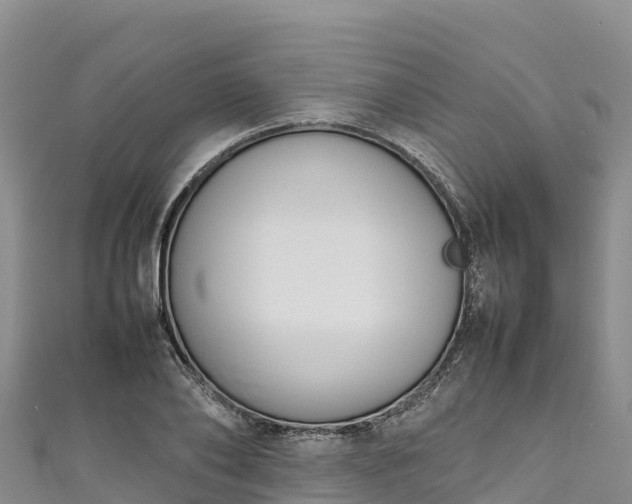 X0000111190886200907081254