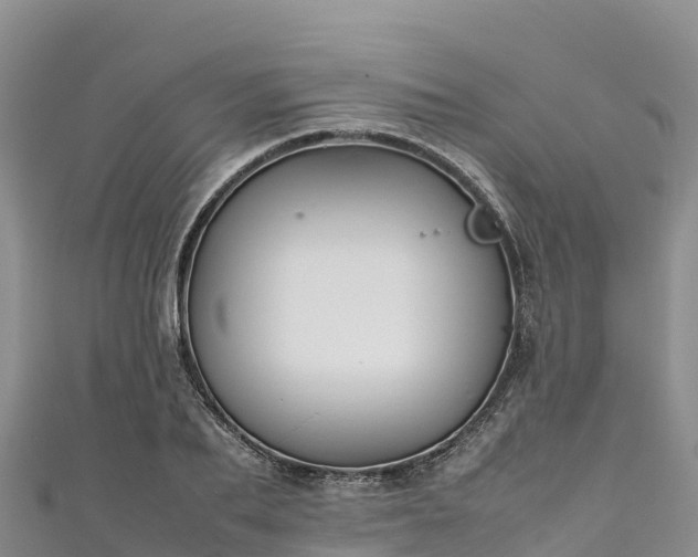 X0000111190887200907081254