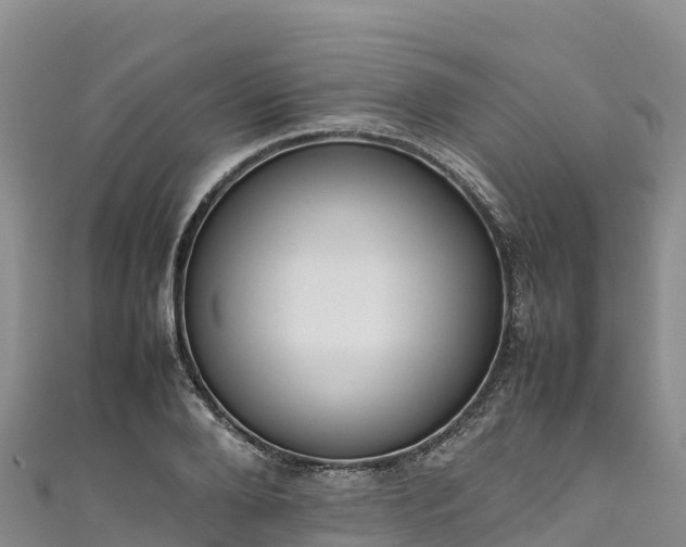 X0000111190888200907081254