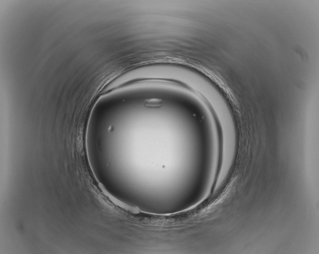 X0000111190889200907081254