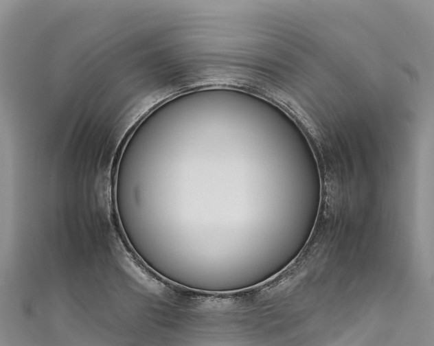 X0000111190890200907081254