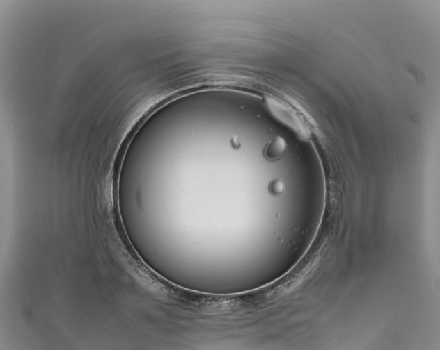 X0000111190891200907081254