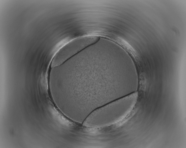 X0000111190892200907081254