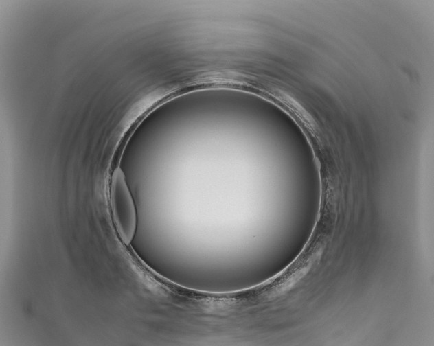 X0000111190893200907081254