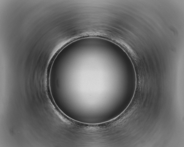 X0000111190894200907081254