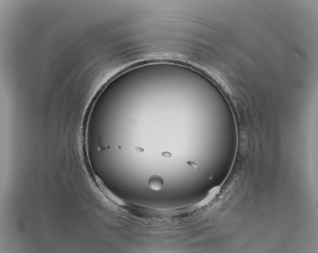 X0000111190895200907081254