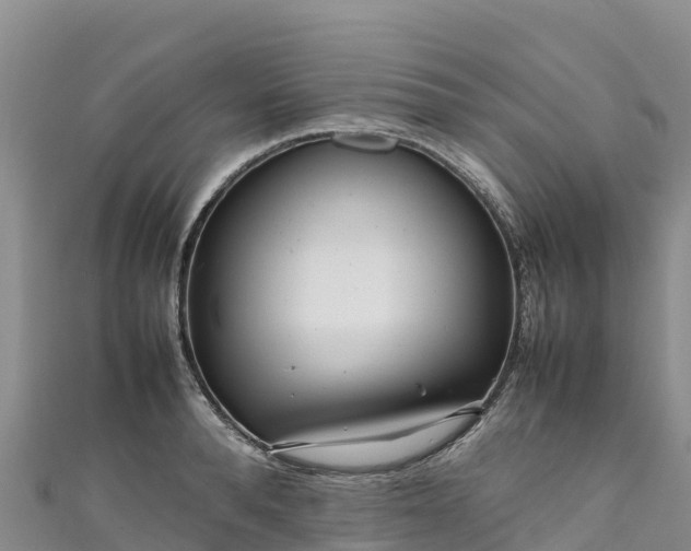 X0000111190896200907081254