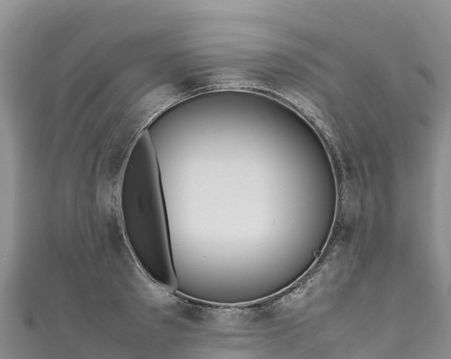 X0000111190897200907081254