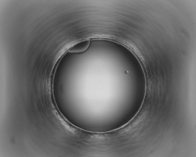 X0000111190898200907081254