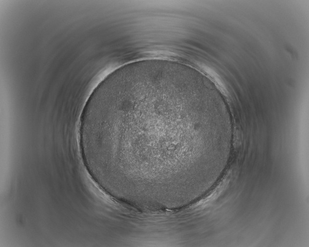 X0000111190899200907081254