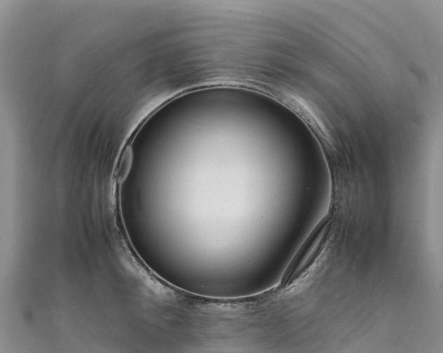 X0000111190900200907081254