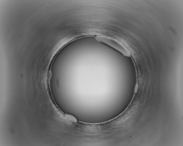 X0000111190901200907081254