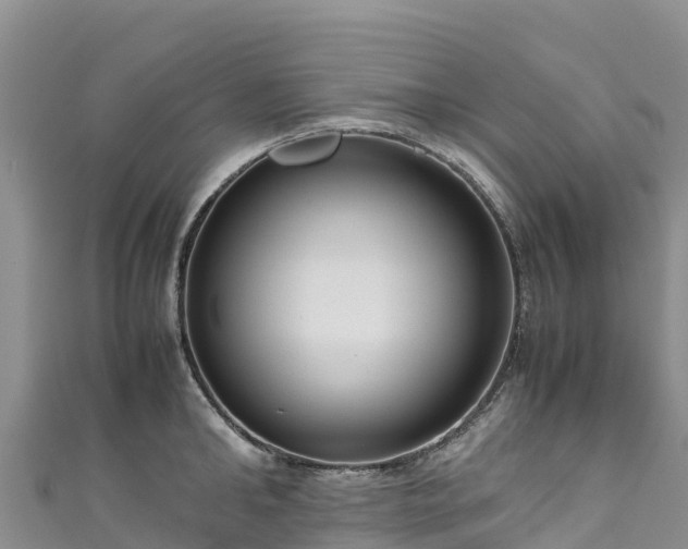 X0000111190902200907081254