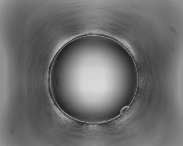 X0000111190903200907081254