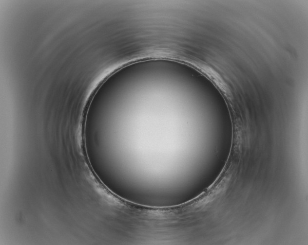 X0000111190904200907081254