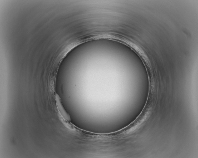 X0000111190905200907081254