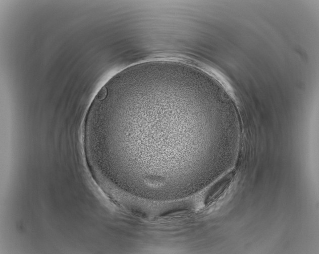 X0000111190907200907081254