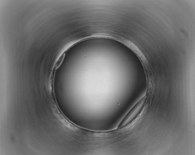 X0000111190908200907081253