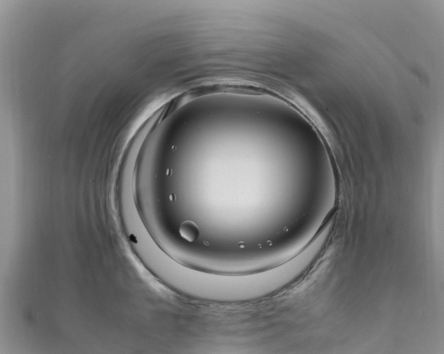 X0000111190909200907081253