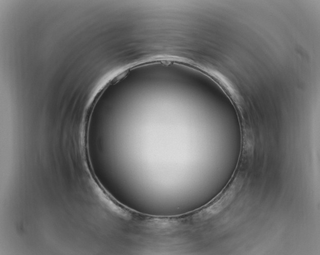 X0000111190910200907081253