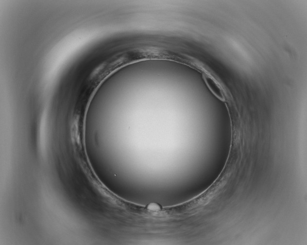 X0000111190911200907081253