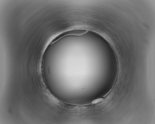 X0000111190912200907081253